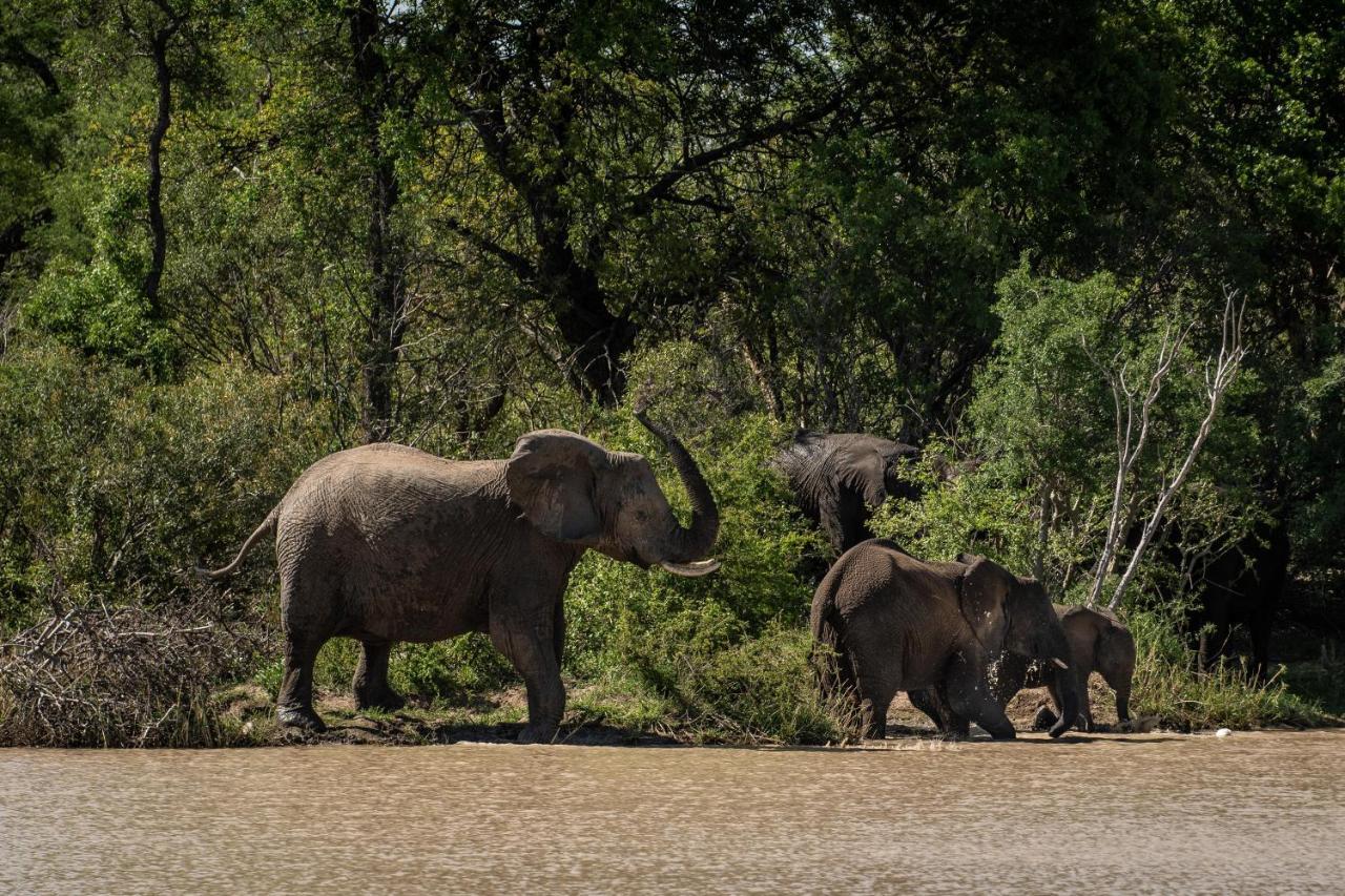 Kapama Buffalo Camp Kapama Game Reserve Bagian luar foto