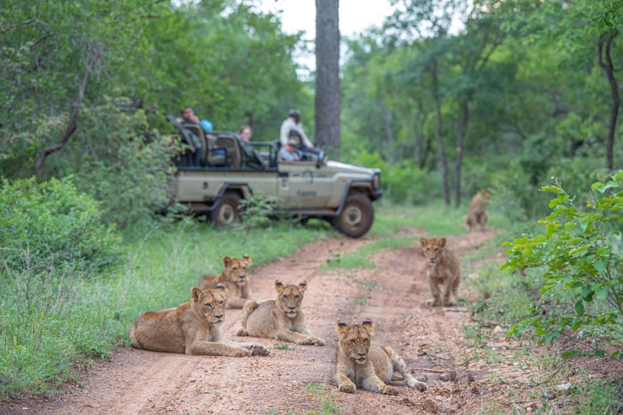 Kapama Buffalo Camp Kapama Game Reserve Bagian luar foto