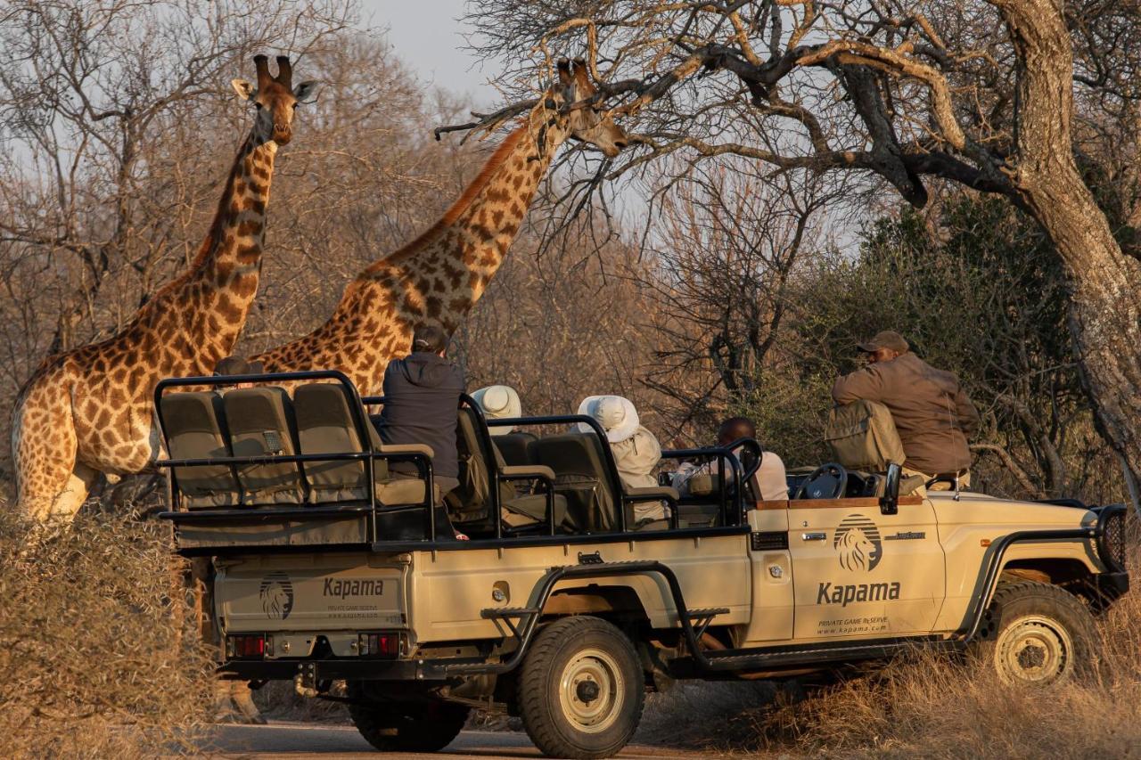 Kapama Buffalo Camp Kapama Game Reserve Bagian luar foto