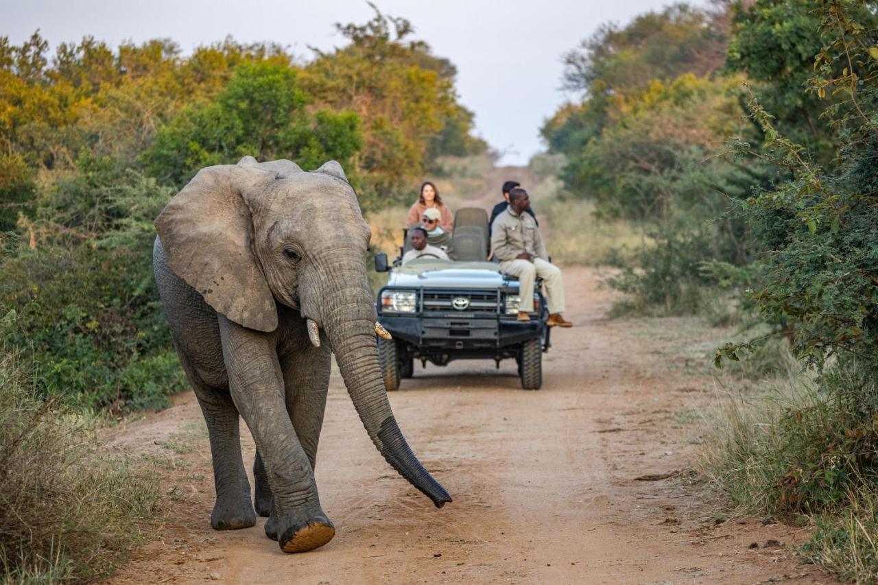 Kapama Buffalo Camp Kapama Game Reserve Bagian luar foto